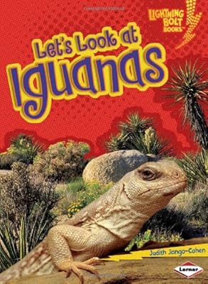 Let's Look at Iguanas