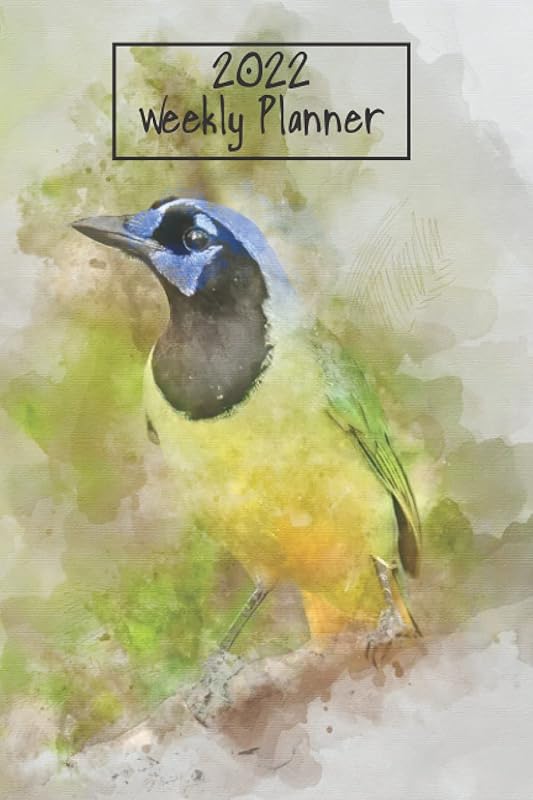 2022 Weekly Planner with Watercolor Cover: This planner features a beautiful watercolor cover and is full dated for 2022 with monthly and weekly layouts and perfect to use and organize your life. by Cheryl Johnson
