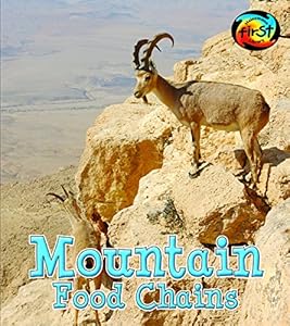 Mountain Food Chains