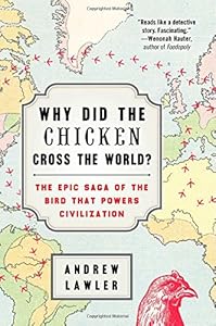 Why Did the Chicken Cross the World?: The Epic Saga of the Bird that Powers Civilization by Andrew Lawler