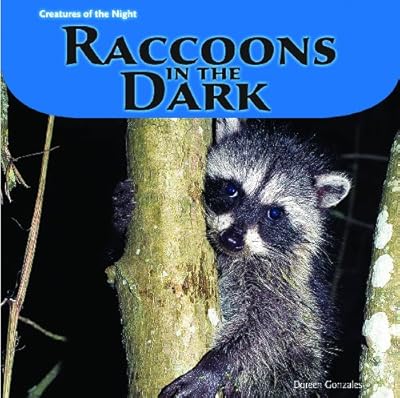 Raccoons in the Dark