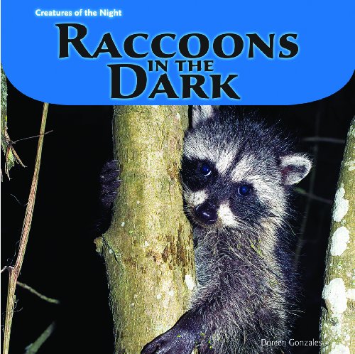 Raccoons in the Dark by Doreen Gonzales