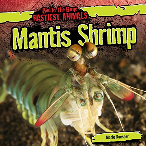Mantis Shrimp by Marie Roesser