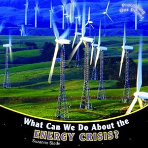 What Can We Do About the Energy Crisis?