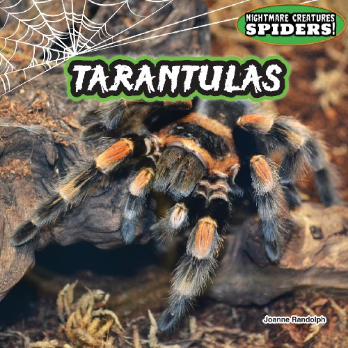 Tarantulas by Joanne Randolph