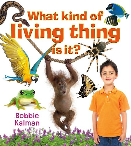 What Kind of Living Thing Is It? (Introducing Living Things) by Bobbie Kalman