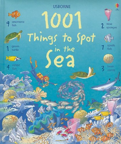 1001 Things to Spot in the Sea by Katie Daynes