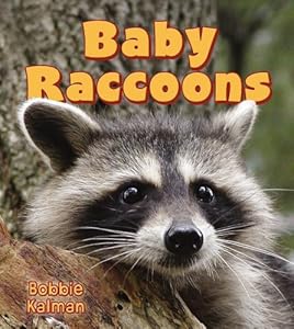 Baby Raccoons (It's Fun to Learn about Baby Animals)