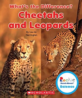 Cheetahs and Leopards