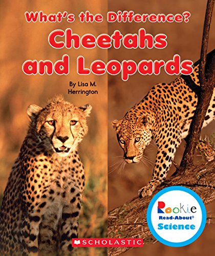 Cheetahs and Leopards by Lisa M Herrington