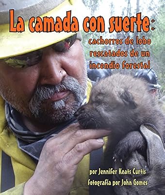 La camada con suerte: cachorros de lobo rescatados de un incendio forestal