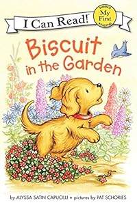 Biscuit in the garden