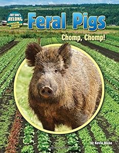 Feral Pigs: Chomp, Chomp!
