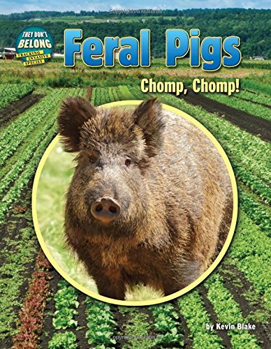 Feral Pigs: Chomp, Chomp! by Kevin Blake