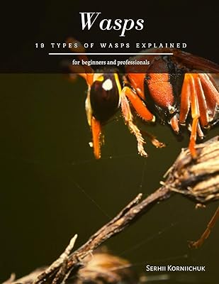 Wasps: 19 Types of Wasps Explained