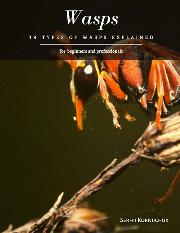 Wasps: 19 Types of Wasps Explained by Serhii Korniichuk