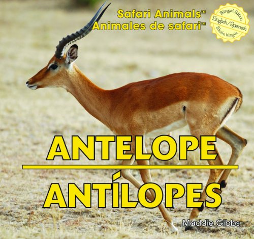 Antelope / Antilopes by Maddie Gibbs