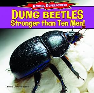 Dung Beetles: Stronger Than Ten Men!