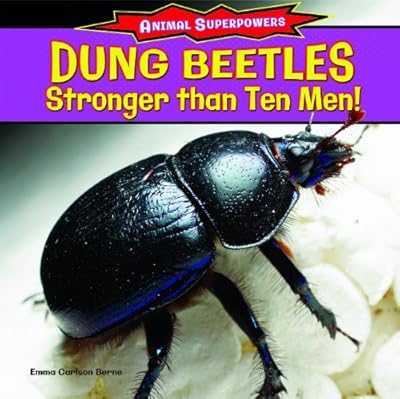 Dung Beetles: Stronger Than Ten Men!