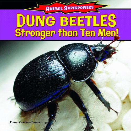 Dung Beetles: Stronger Than Ten Men! by Emma Carlson Berne