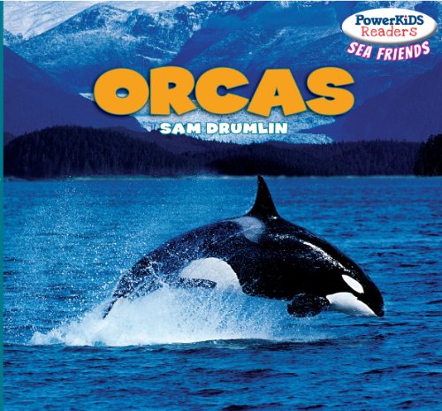Orcas by Sam Drumlin