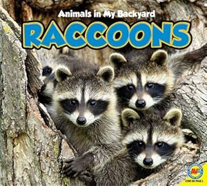 Raccoons