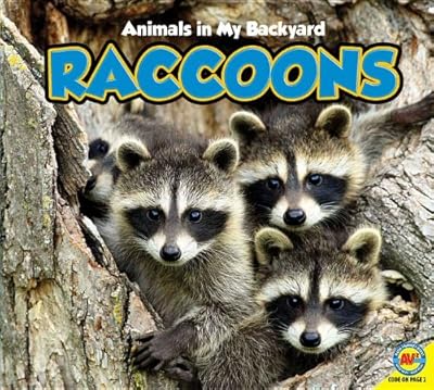 Raccoons