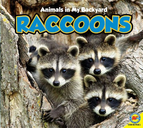 Raccoons by Jordan McGill
