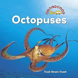 Octopuses (Benchmark Rebus)