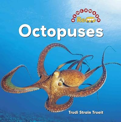 Octopuses (Benchmark Rebus)