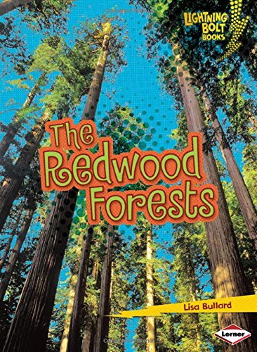 The Redwood Forests by Lisa Bullard