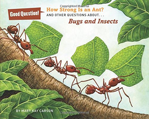 How Strong Is an Ant?: And Other Questions about Bugs and Insects by Mary Kay Carson