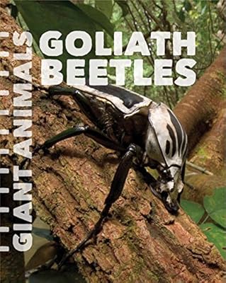 Goliath Beetles