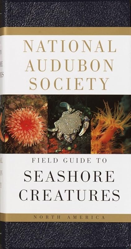 National Audubon Society Field Guide to Seashore Creatures: North America (National Audubon Society Field Guides) by Norman A. Meinkoth