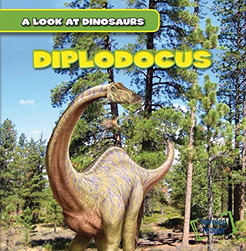 Diplodocus by Thomas George