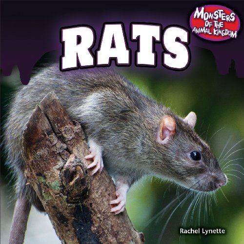 Rats by Rachel Lynette