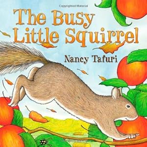 Busy Little Squirrel