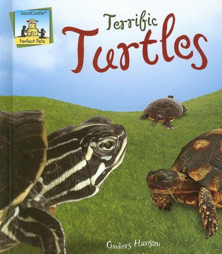 Terrific Turtles (Perfect Pets) by Anders Hanson
