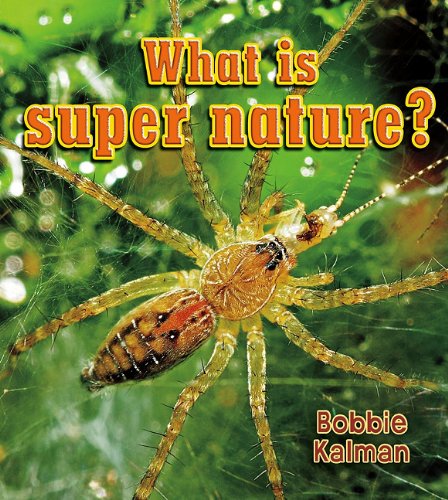 What Is Super Nature? (Big Science Ideas) by Bobbie Kalman