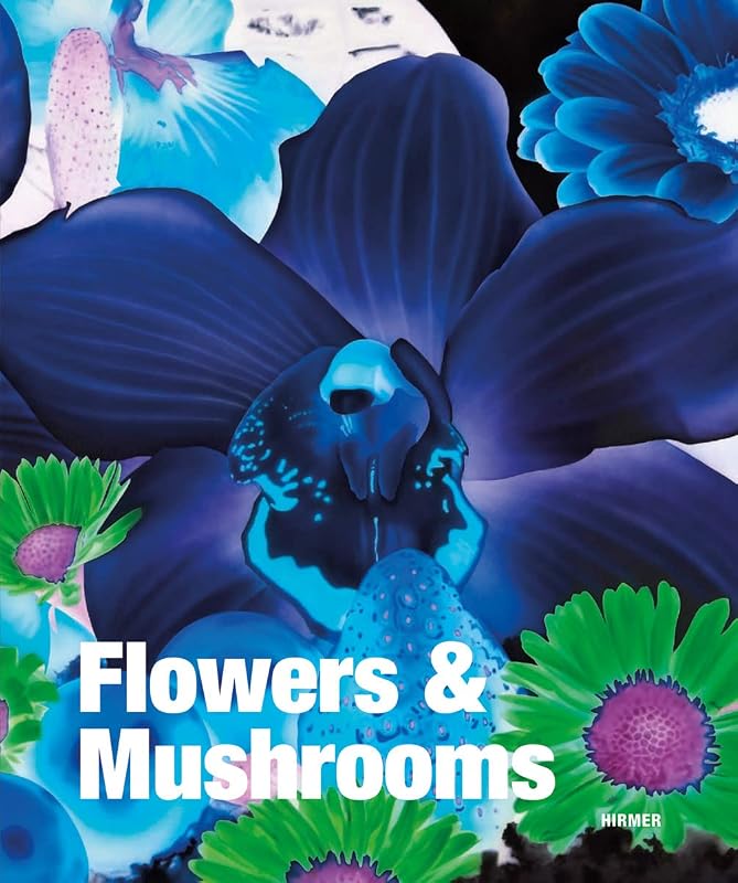 Flowers and Mushrooms by Toni Stooss