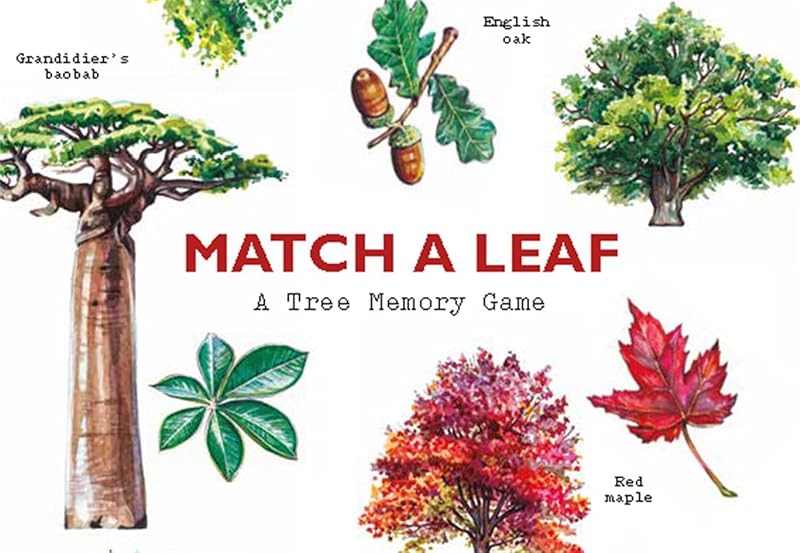 Match a Leaf A Tree Memory Game:A Tree Memory Game by KIRKHAM TONY
