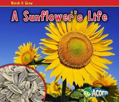 A Sunflower's Life
