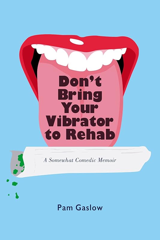 Don't Bring Your Vibrator to Rehab: A Somewhat Comedic Memoir by Pam Gaslow