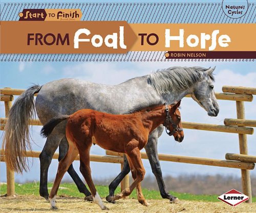 From Foal to Horse (Start to Finish: Nature's Cycles)