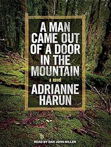 A Man Came Out of a Door in the Mountain