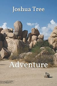 Joshua Tree: Adventure by T.C. Lovejoy