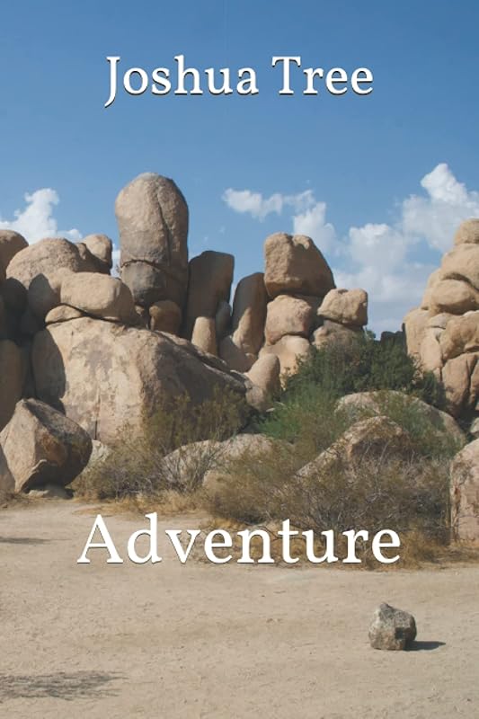 Joshua Tree: Adventure by T.C. Lovejoy