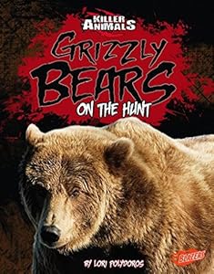 Grizzly Bears: On the Hunt