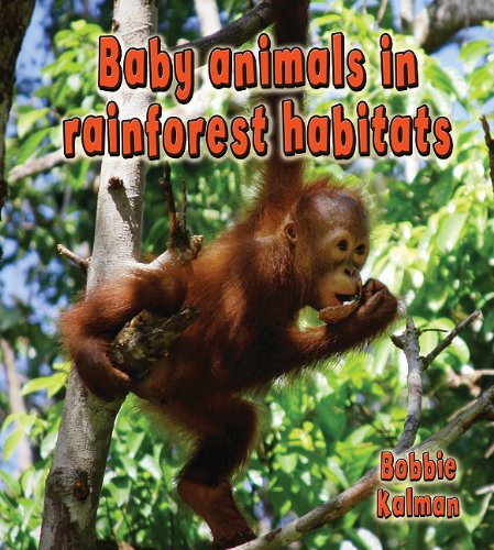 Baby Animals in Rainforest Habitats (Habitats of Baby Animals) by Bobbie Kalman