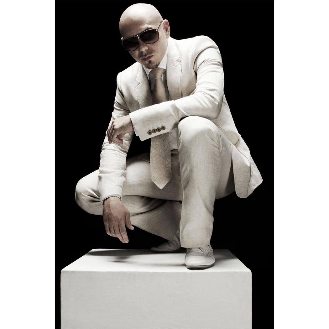 pitbull poster on silk  35cm x 52cm, 14inch x 21inch> - seide